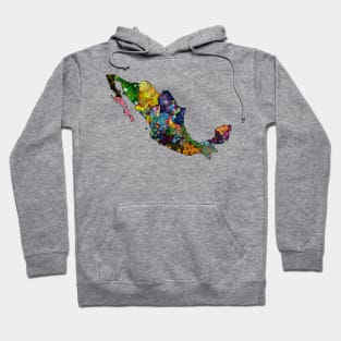 Spirograph Patterned Mexico States Map Hoodie